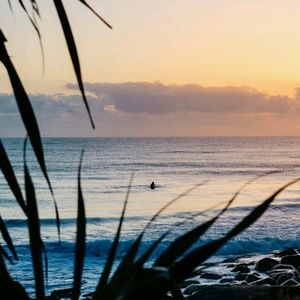 Meet your Posher, Justine